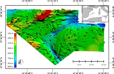 Effect of environmental and anthropogenic factors on the distribution and co-occurrence of cold-water corals